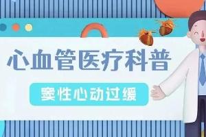 心血管疾病大全 | 窦性心动过缓