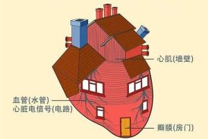 心脏不舒服做哪些检查？心电图、心脏彩超、冠脉造影有什么不同？