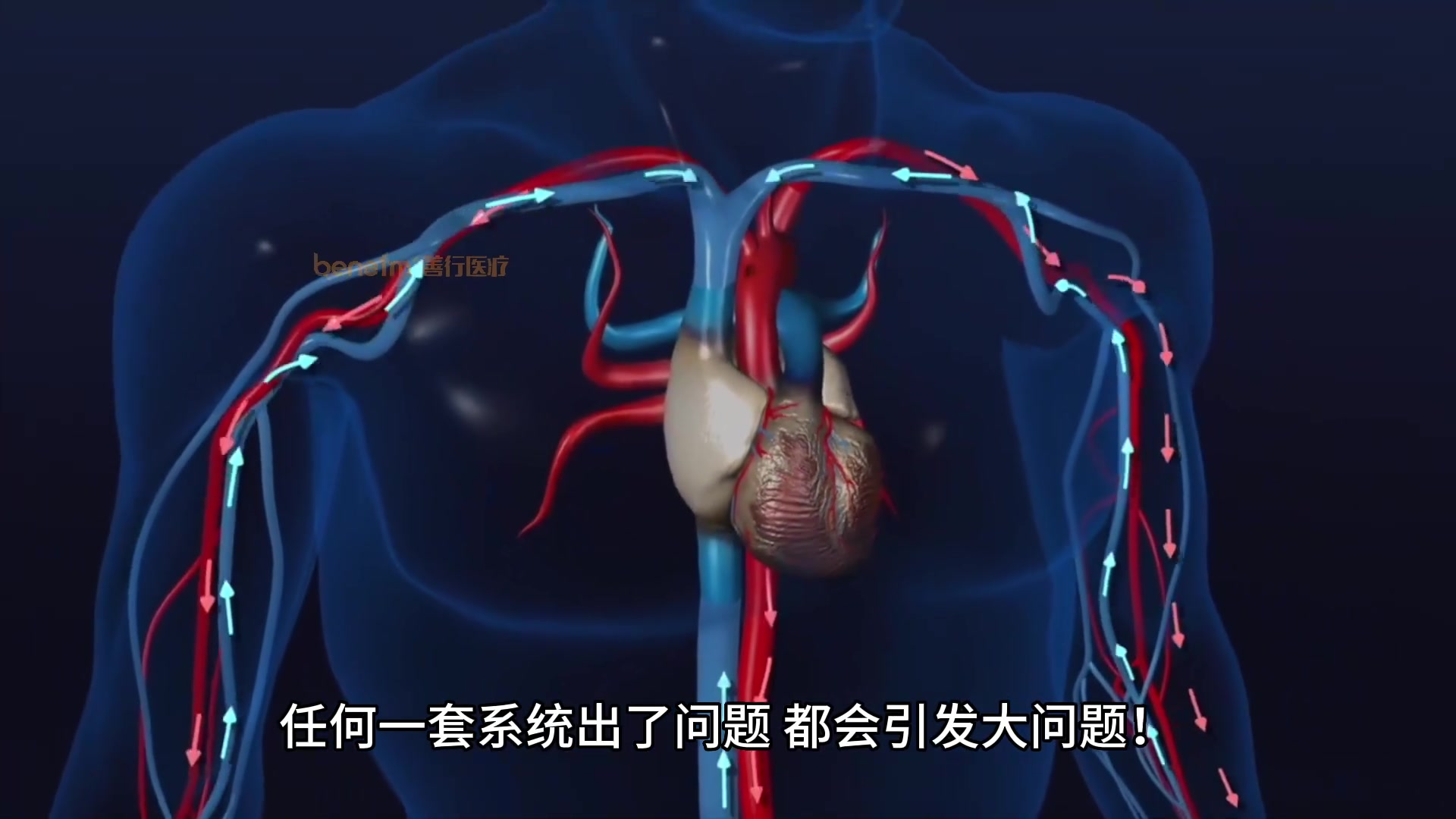 心血管说第一期：心电图、心脏彩超、冠脉造影，这些检查有什么不同?